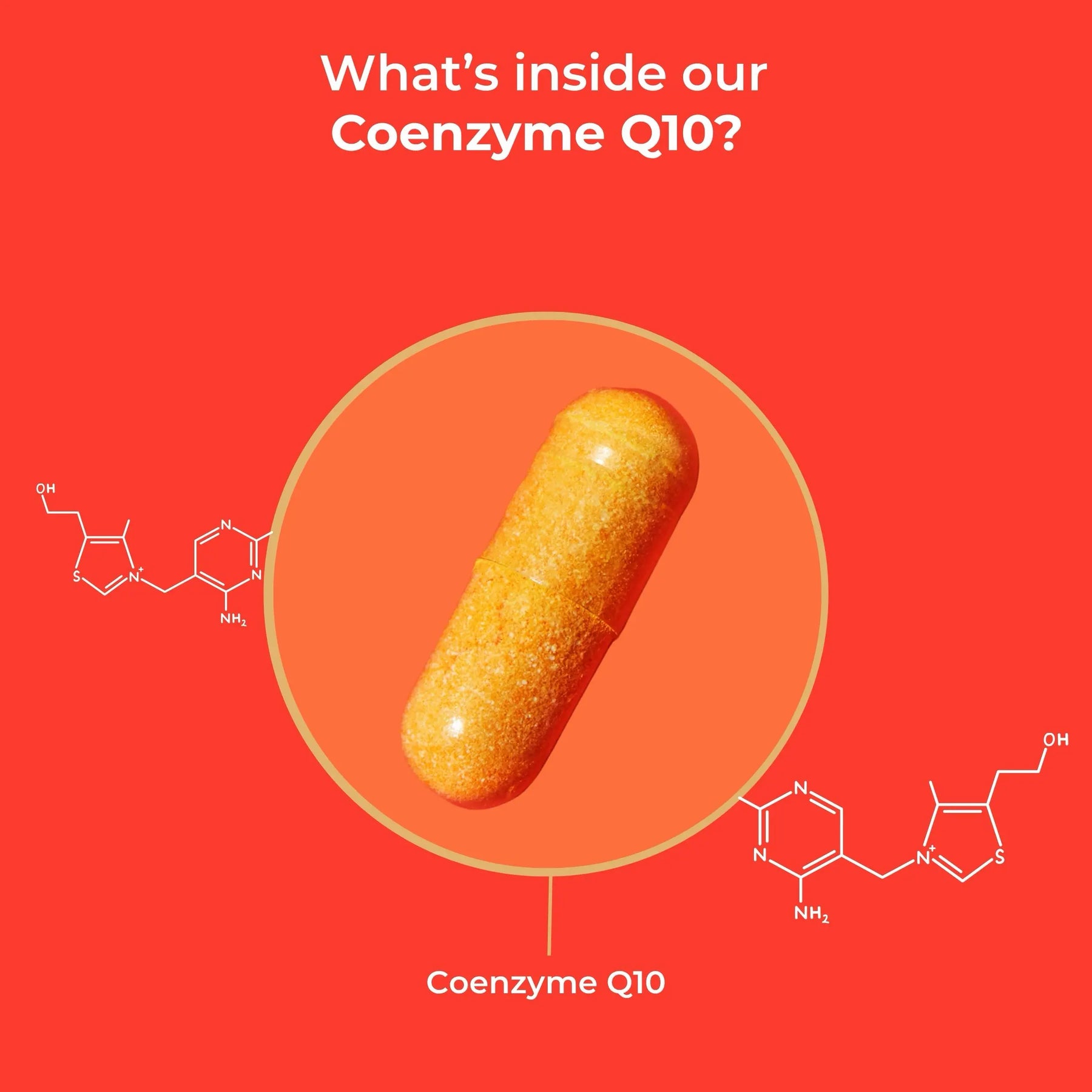 viktilabs-coenzym-q10-infografik-ingredients [lang-en]