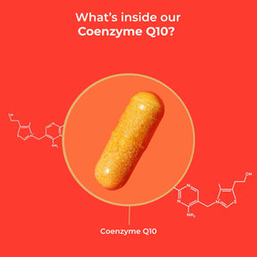 viktilabs-coenzym-q10-infografik-ingredients [lang-en]