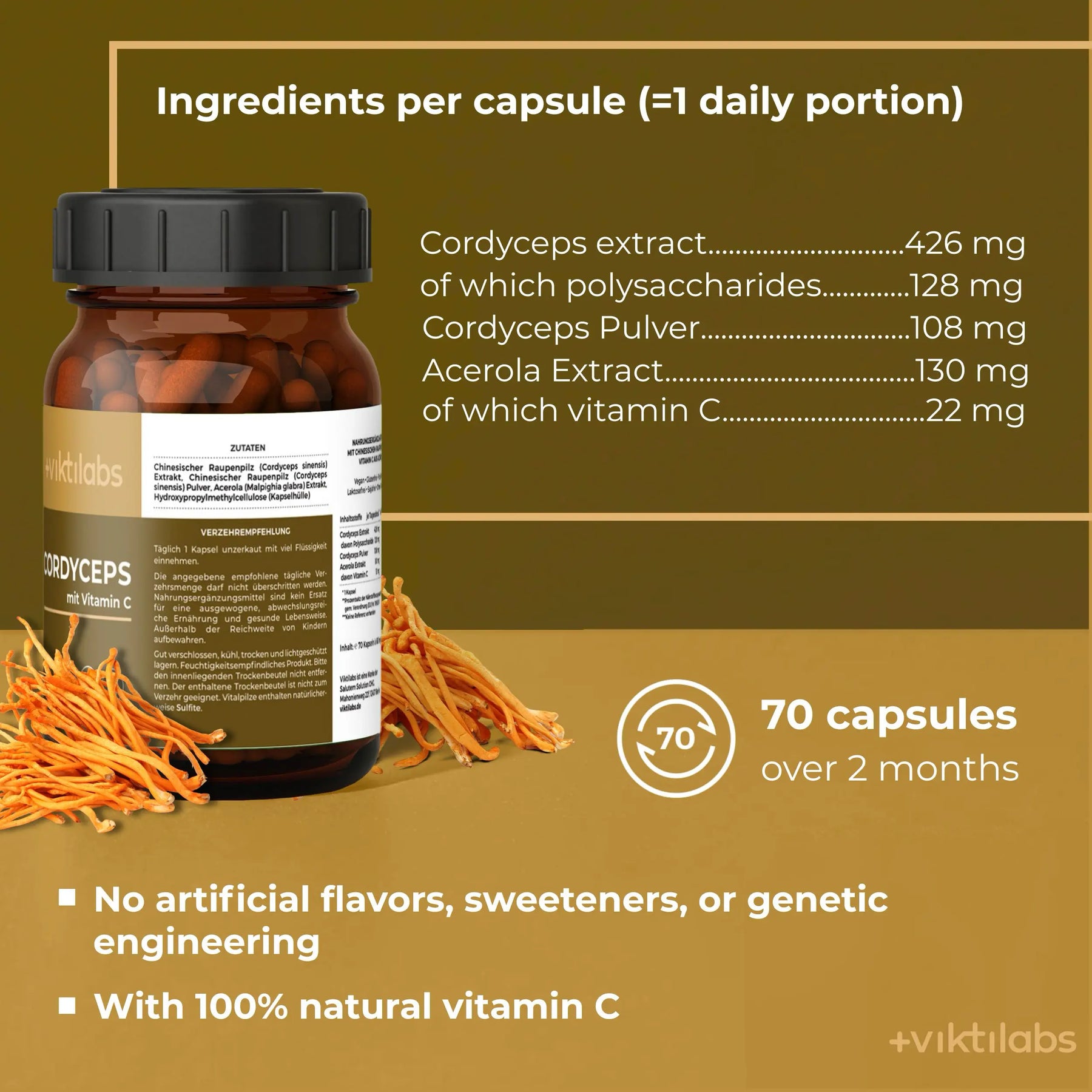 viktilabs-cordyceps-infografik-ingredients-per-dose [lang-en]