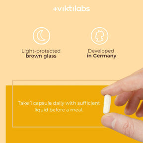 viktilabs-folsäure-infografik-anwendung [lang-en]