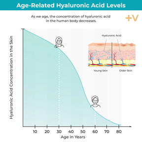 viktilabs-hyaluronsäure-infografik-haut [lang-en]