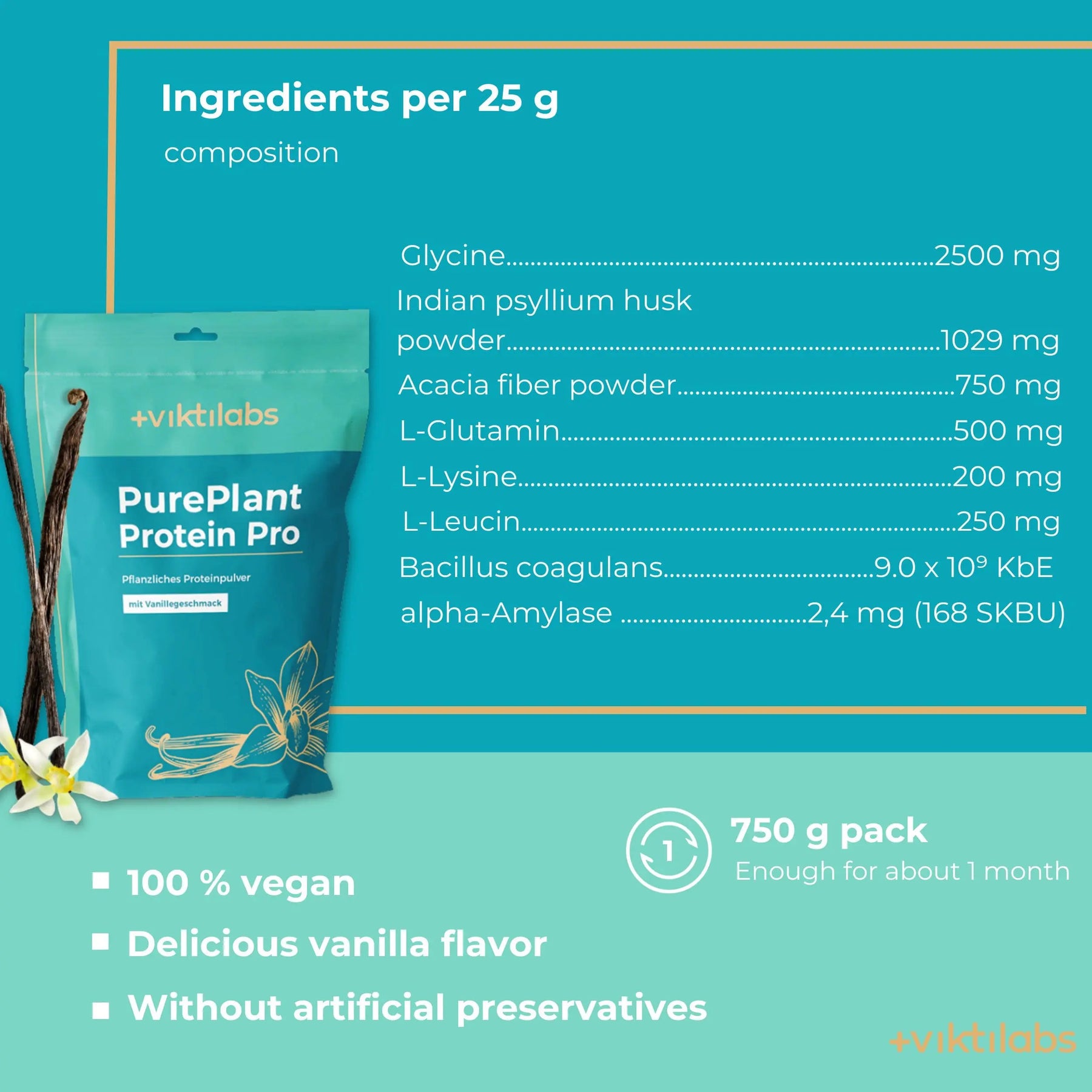 viktilabs-pure-plant-protein-pro-vanille-infografik [lang-en]