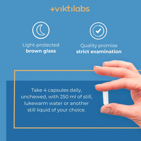 viktilabs-tri-magnesium-dicitrat-infografik-use [lang-en]