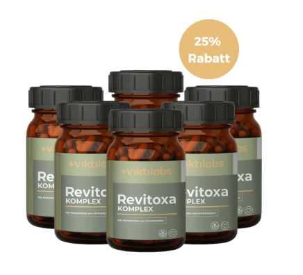 Viktilabs