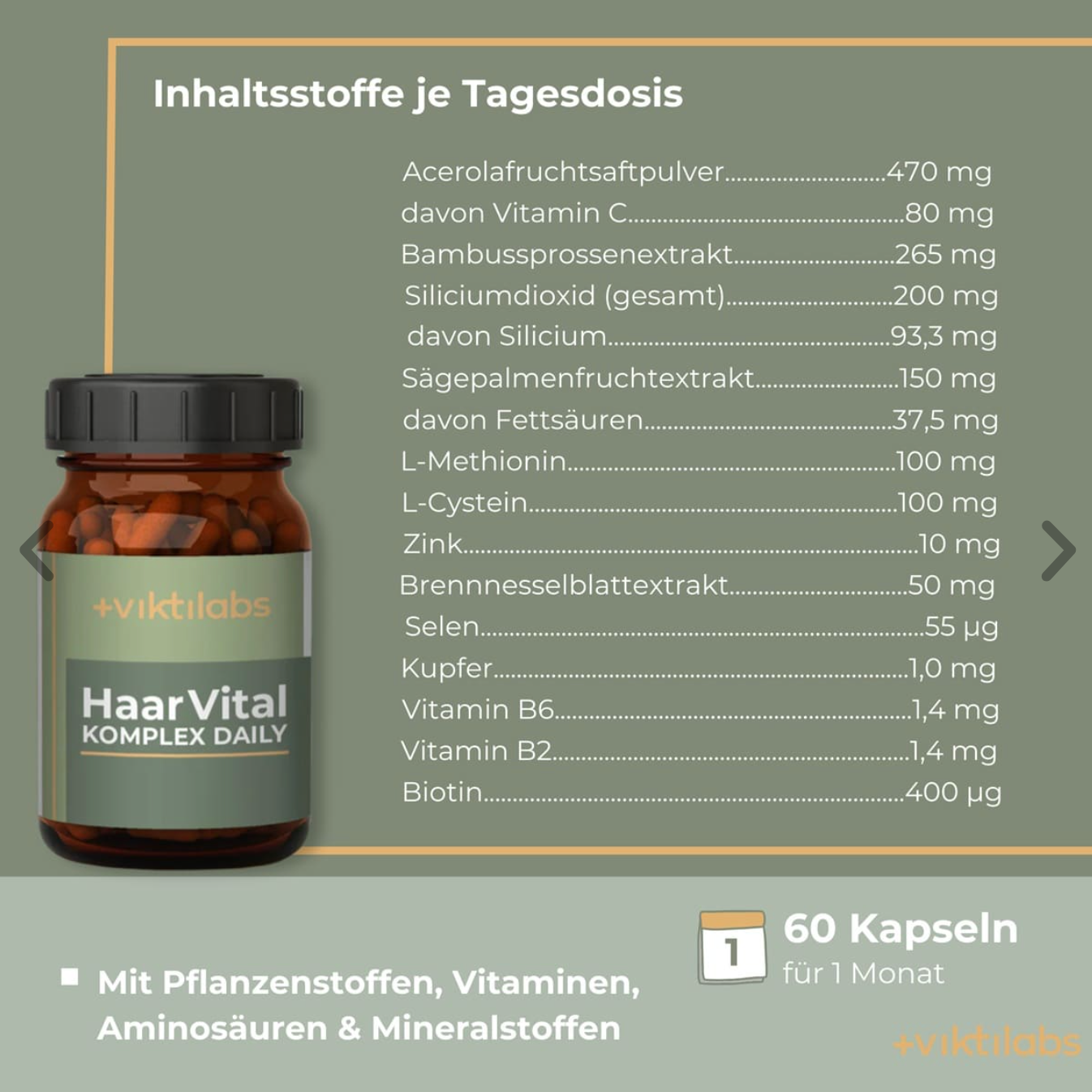Viktilabs