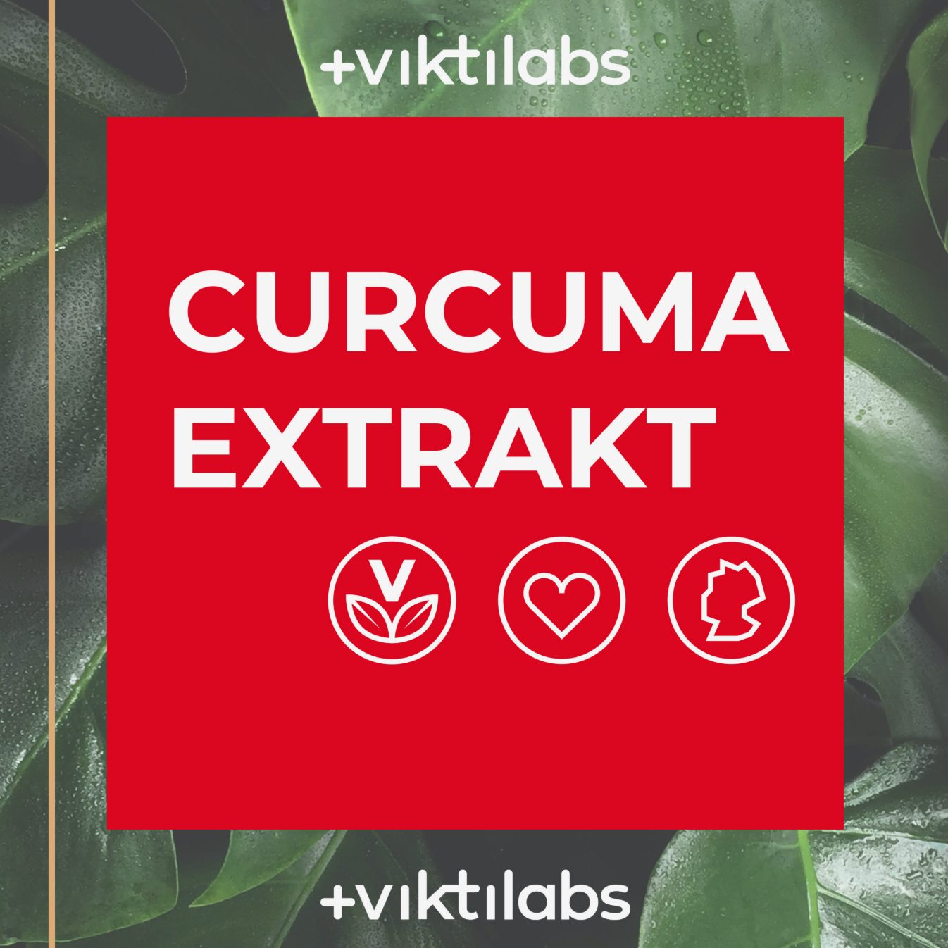 Viktilabs