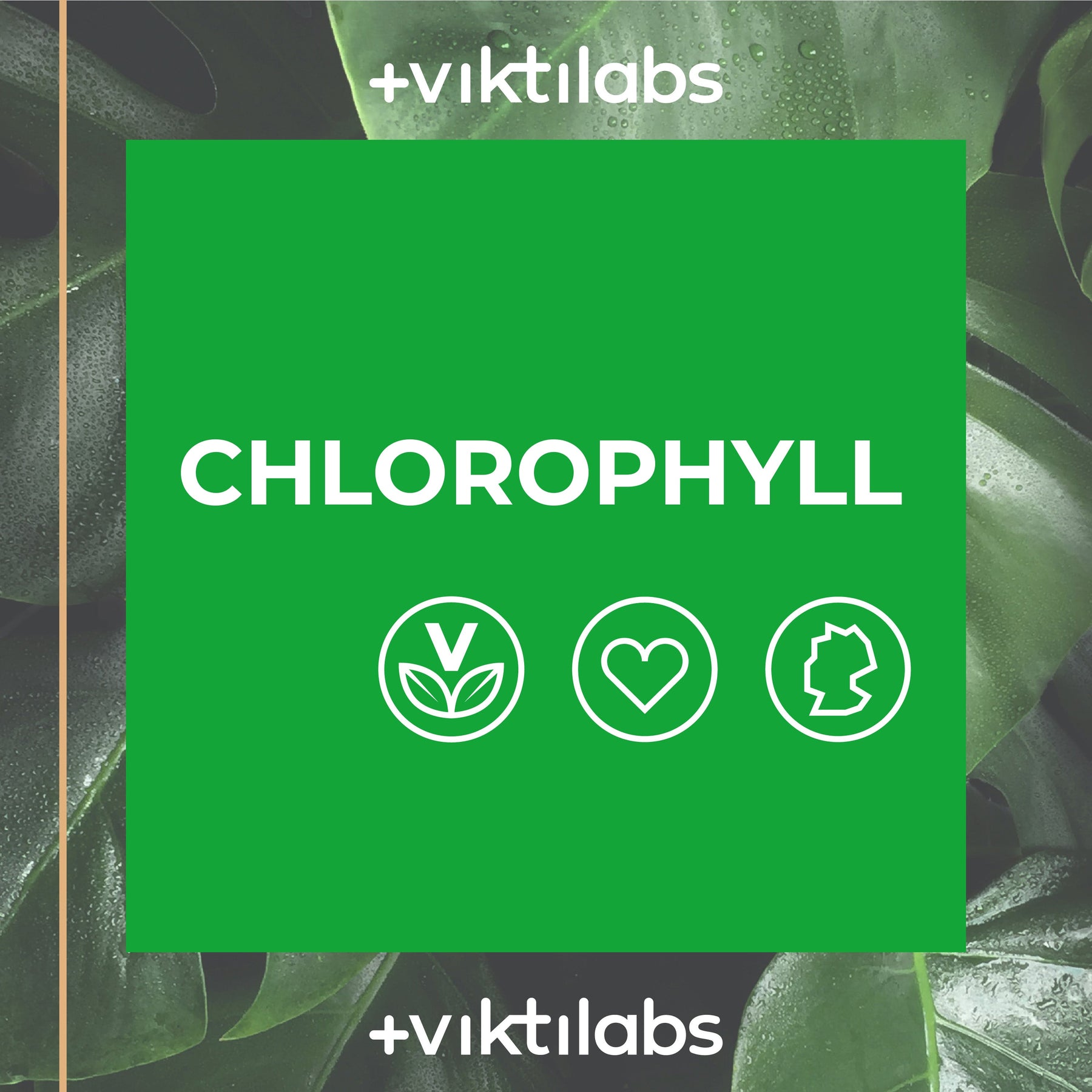 Offer for Chlorophyll Drops - 1 bottle of 100 ml