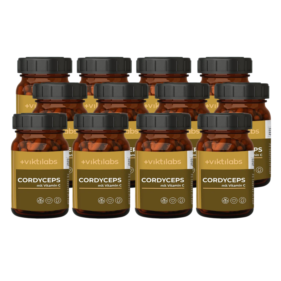 NL Angebot Cordyceps (70 Kapseln pro Glas)