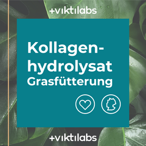12 Packungen Kollagen aus Grasfütterung á 500g