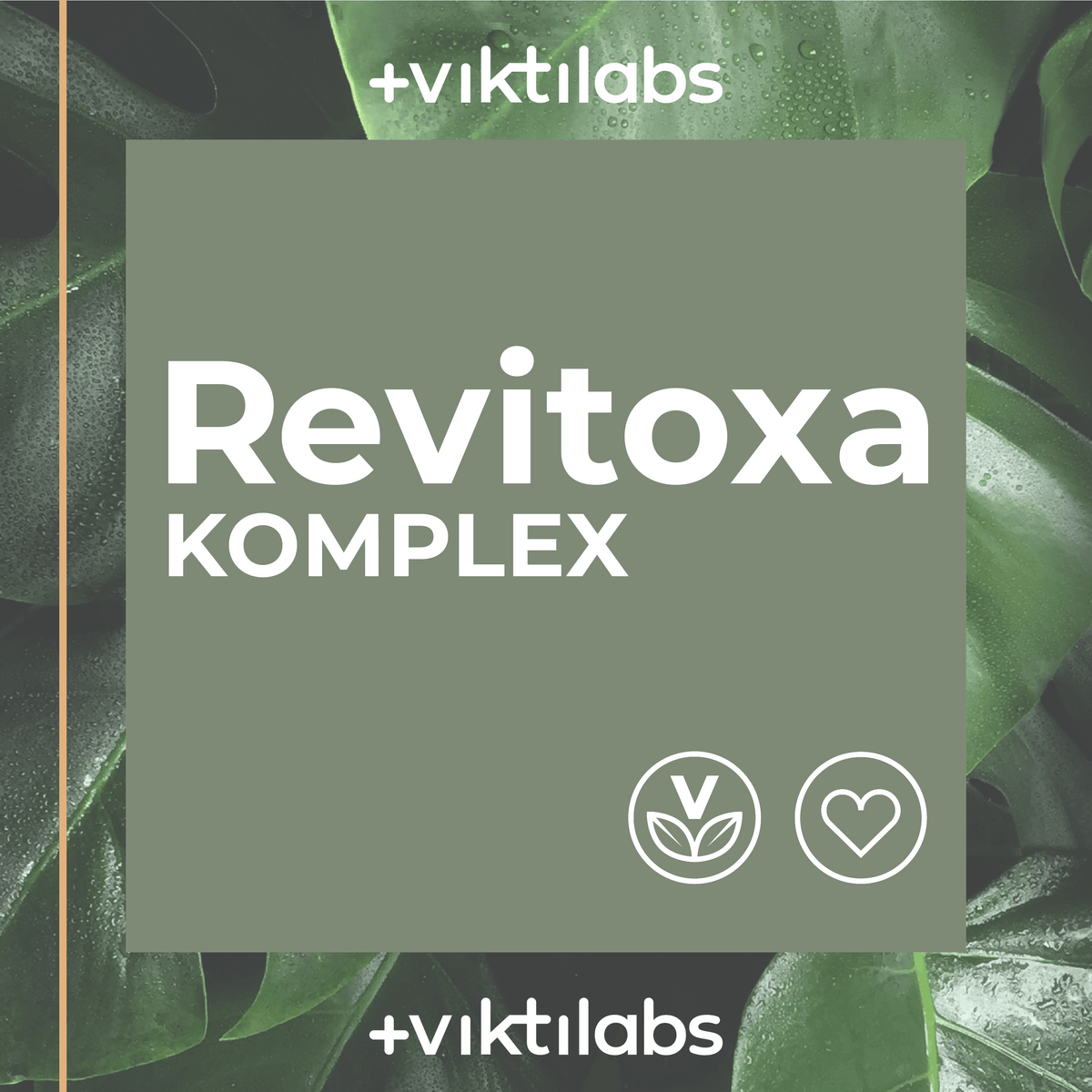 Viktilabs