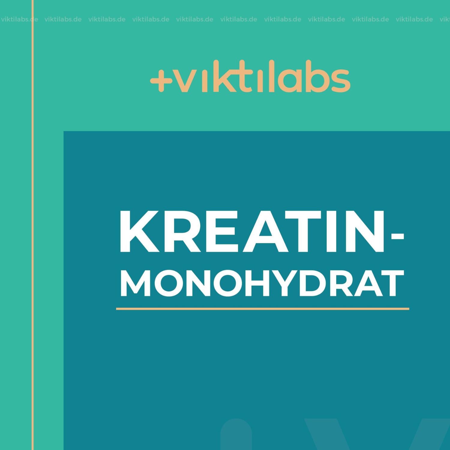 Monohidrato de creatina Oferta NL