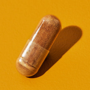 Premium Reishi: Extract with natural vitamin C