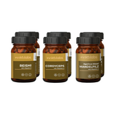 Package offer: 6-pack of medicinal mushrooms - Reishi, Cordyceps, Almond Mushroom (71.58 € per set - Save 10.19%)