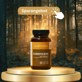 NL Angebot Cordyceps (70 Kapseln pro Glas)