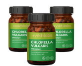 Inforeihe für Chlorella vulgaris - Indoor Farming (300 Presslinge)