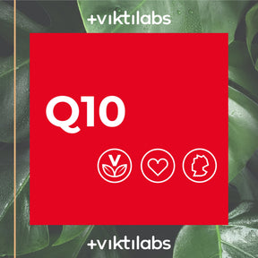 Angebot für Coenzym Q10 - Premium Q10 aus pflanzlicher Fermentation - 60 Kapseln